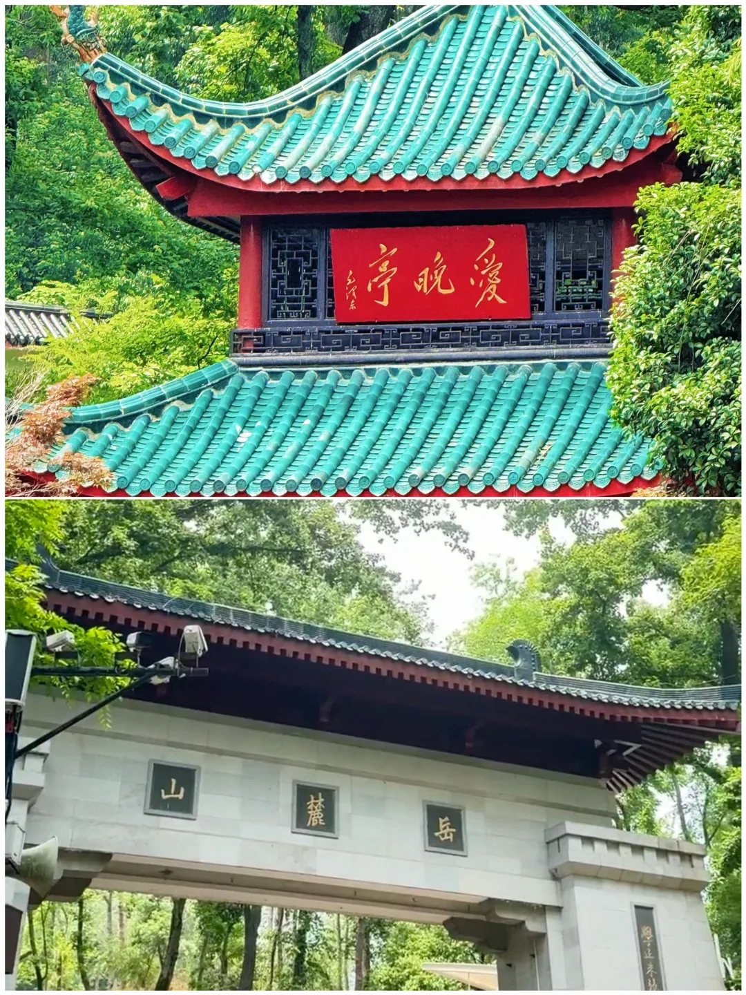 5-6月穷游党狂喜！这6座城市花小钱也能玩