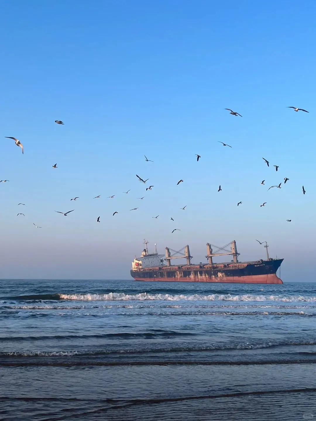 威海会惩罚每一个不做攻略的人!!!