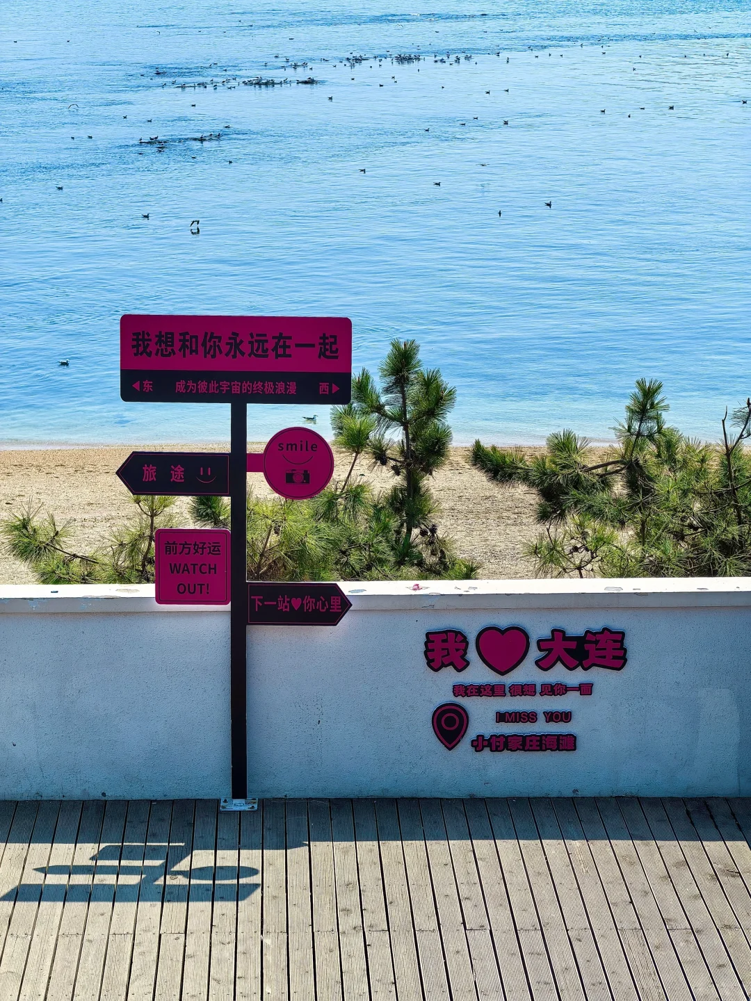 来大连📷这个机位千万不能错过‼️（附定位）