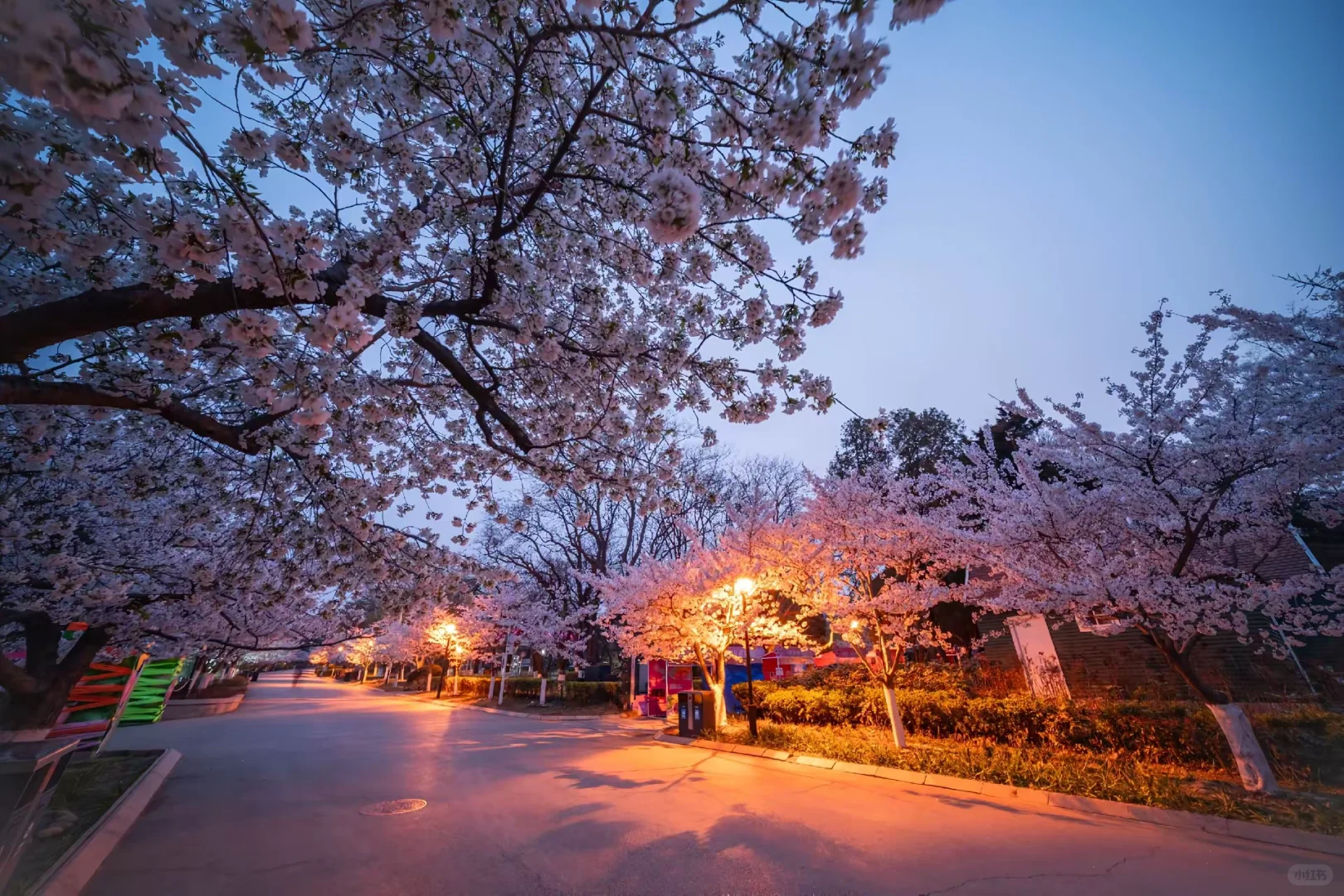 穷游天花板！5城市让大学生玩出最野的青春