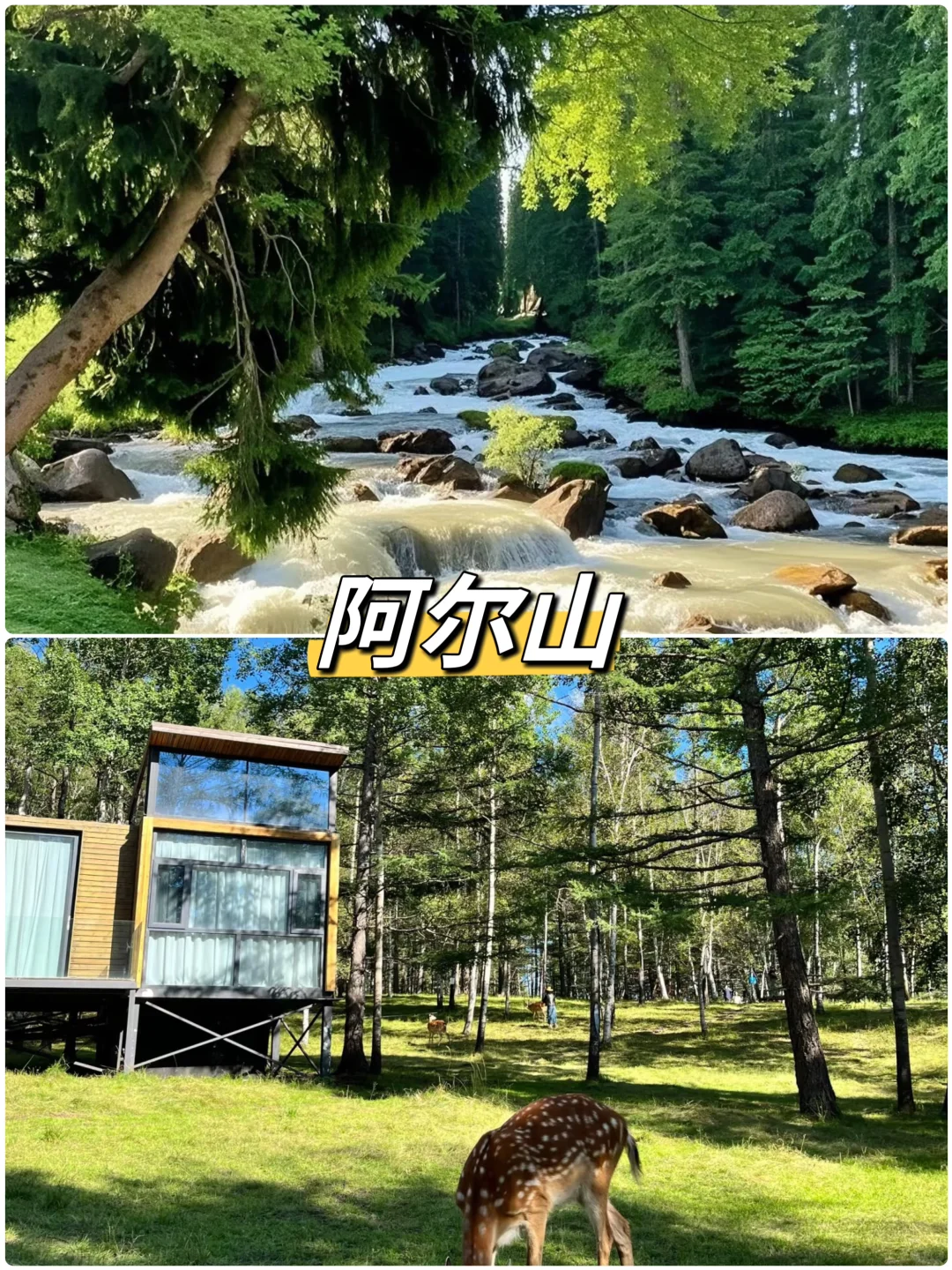 5-6🈷️反向游，不用人挤人六大城市推荐