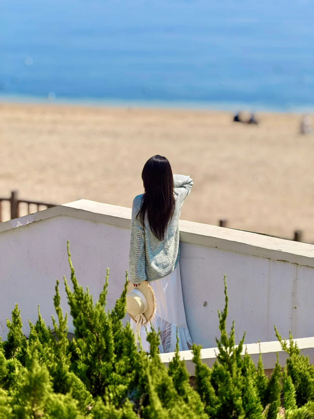 来大连📷这个机位千万不能错过‼️（附定位）