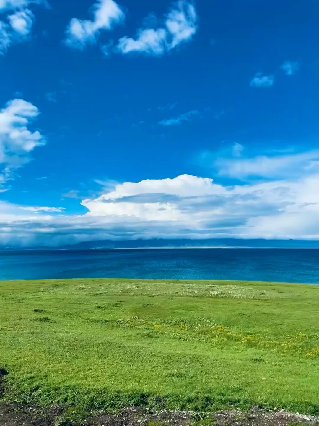 人生建议!一定要在5-6月去一次新疆…