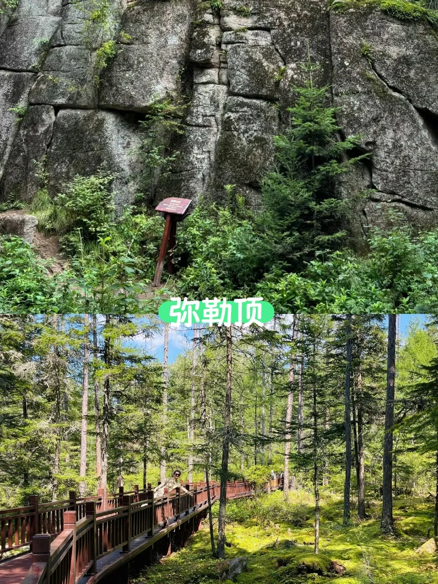 伊春第1⃣站｜汤旺河，绿野仙踪入口在这里