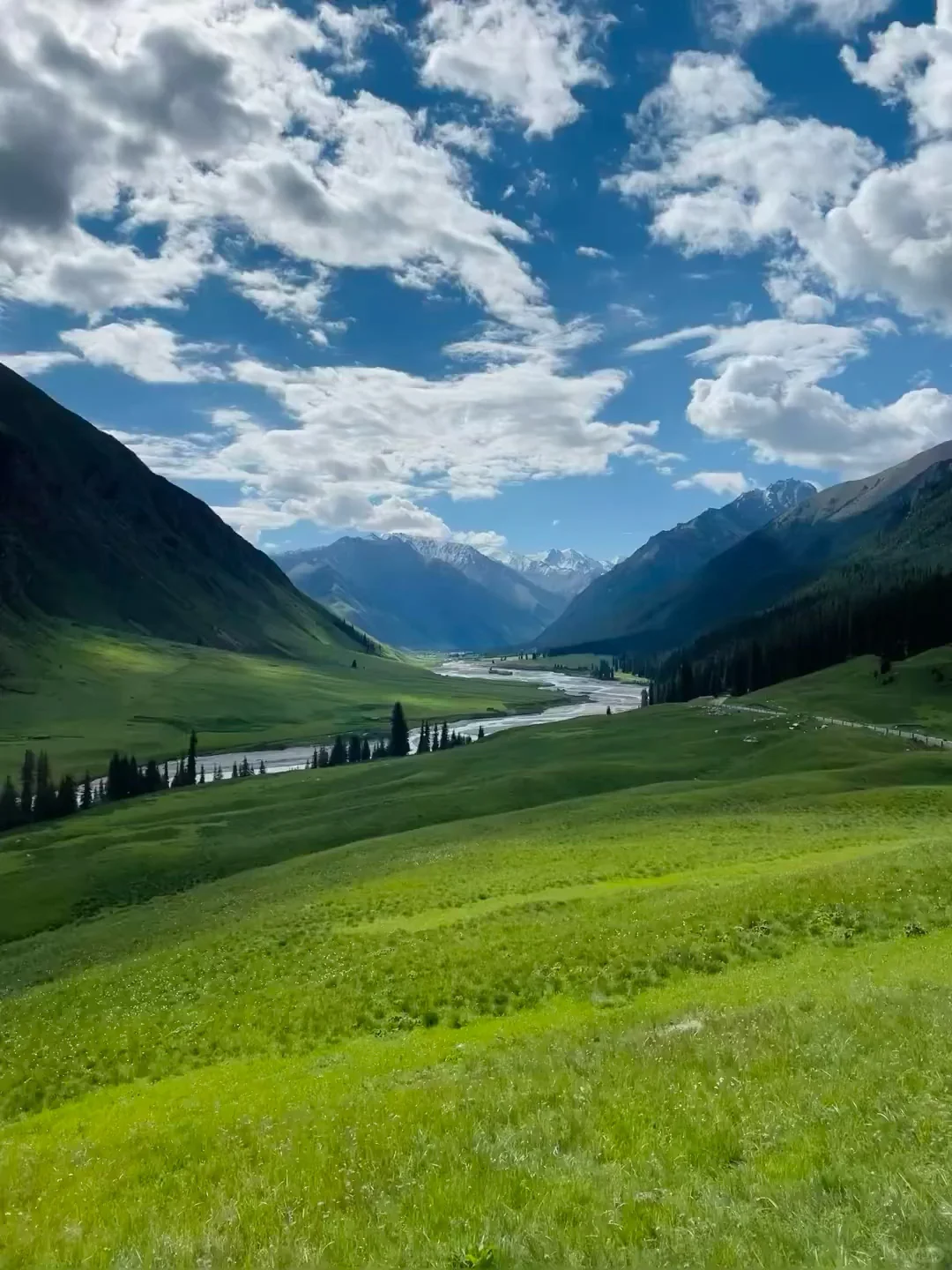 人生建议!一定要在5-6月去一次新疆…