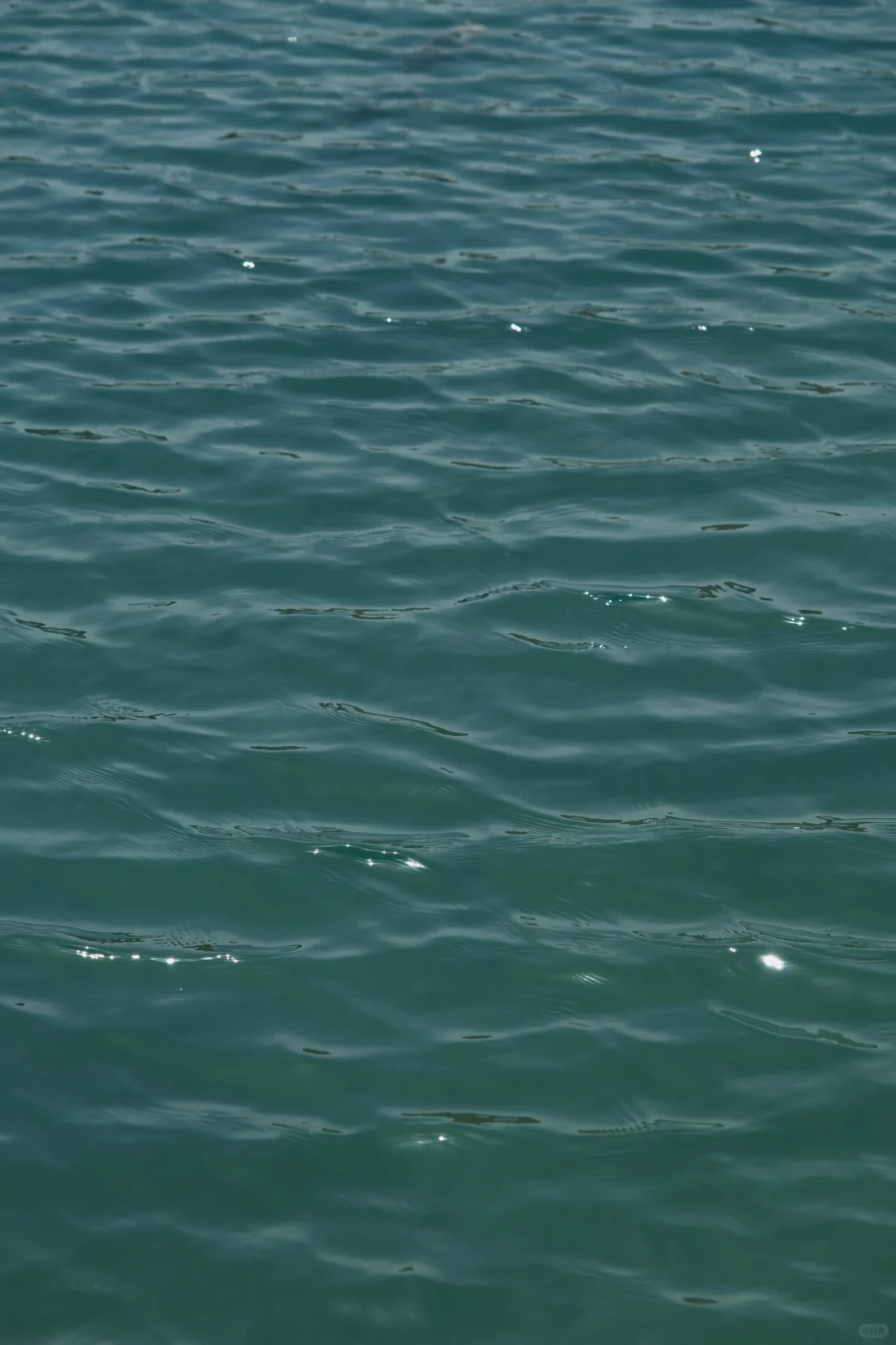 不在海边在蚌埠！果冻蓝🩵𝘽𝙡𝙪𝙚 ‧˚好治愈