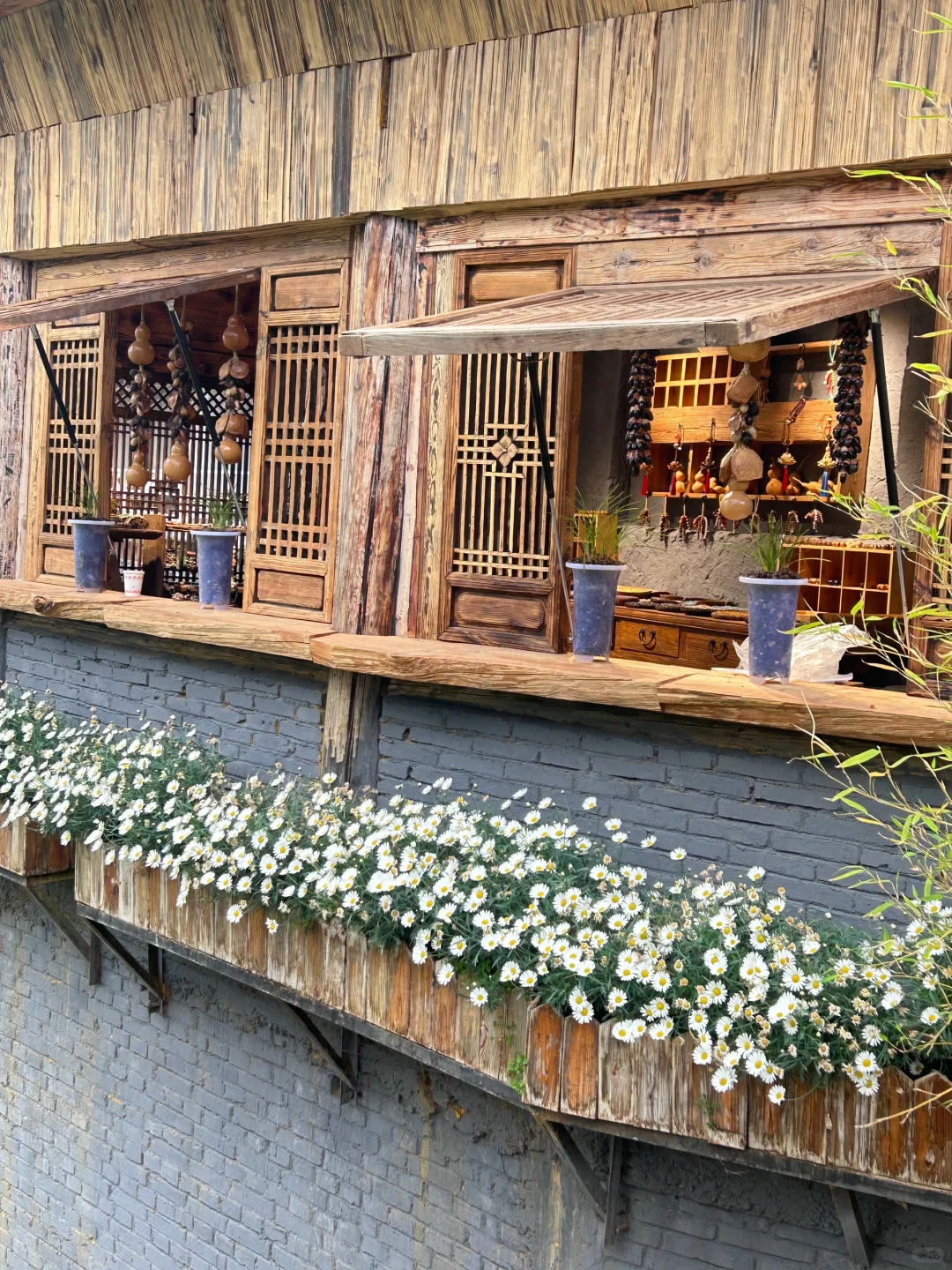 西安-大理-丽江旅游攻略第二弹(丽江篇)