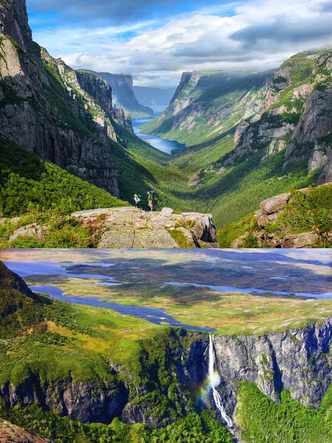 纽芬兰会奖励每一个提前做攻略的人‼