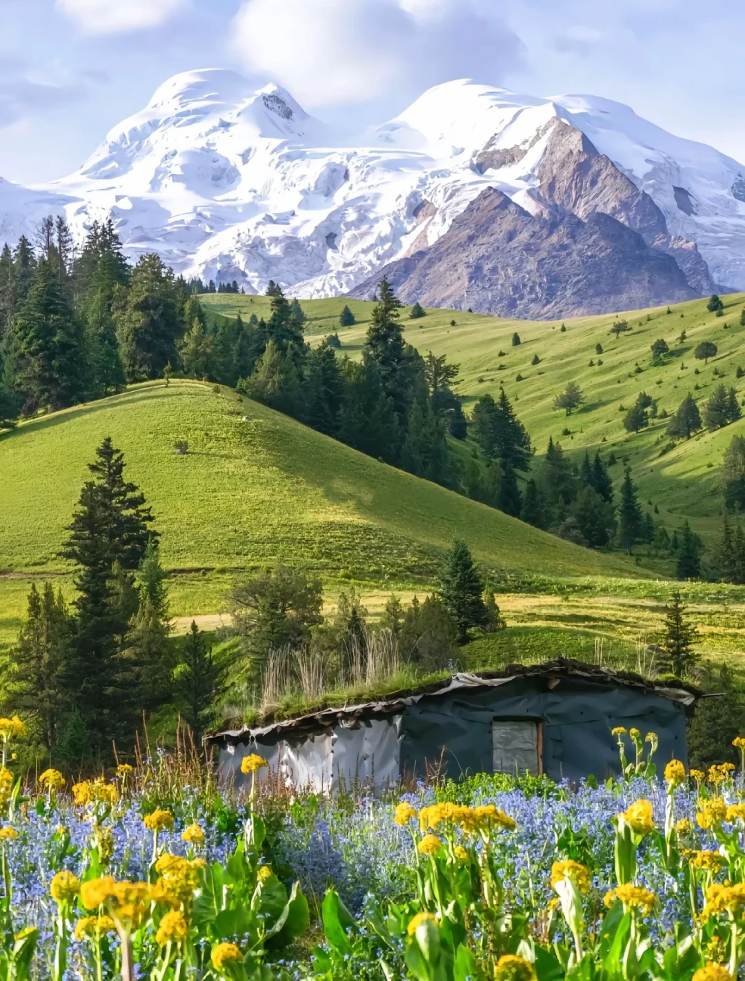 🌟比阿勒泰便宜5倍，川西一处被低估的小众地