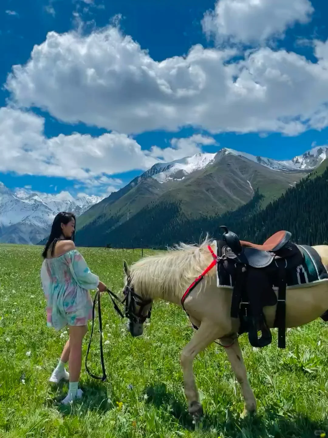 人生建议!一定要在5-6月去一次新疆…