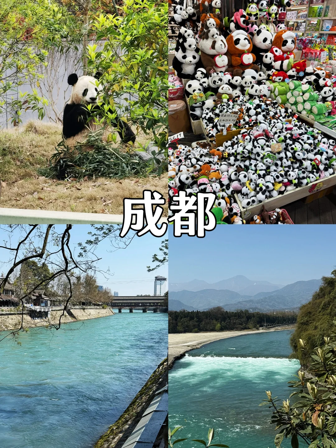 五一旅行清单❗快来看看有没有你钟意的城市