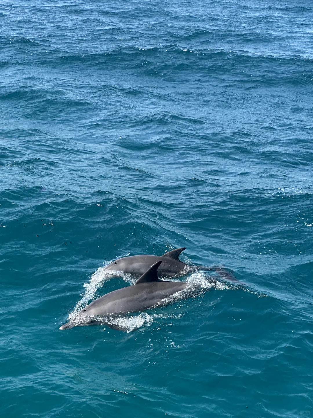 🇪🇬｜如果你有7天假期请留给埃及