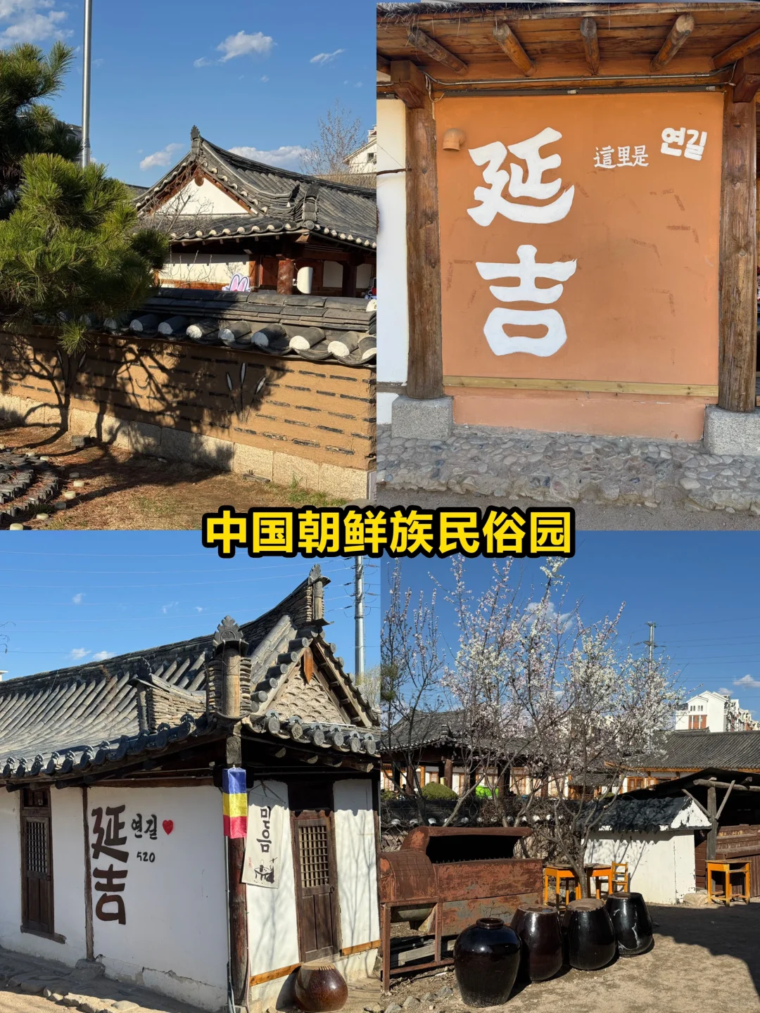 写给5-6月去延吉的姐妹👭🏻超全避雷攻略‼