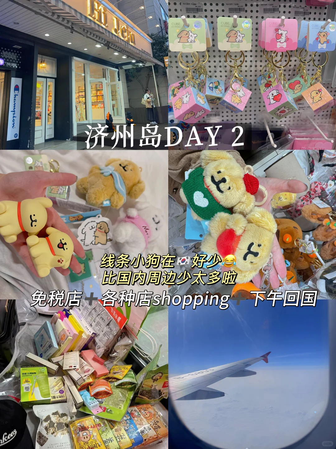 🇰🇷韩国旅游攻略｜首尔➕釜山➕济州岛6天5晚！