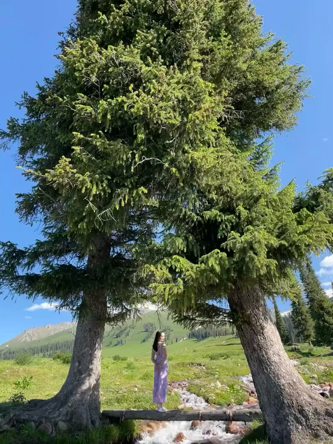 人生建议!一定要在5-6月去一次新疆…