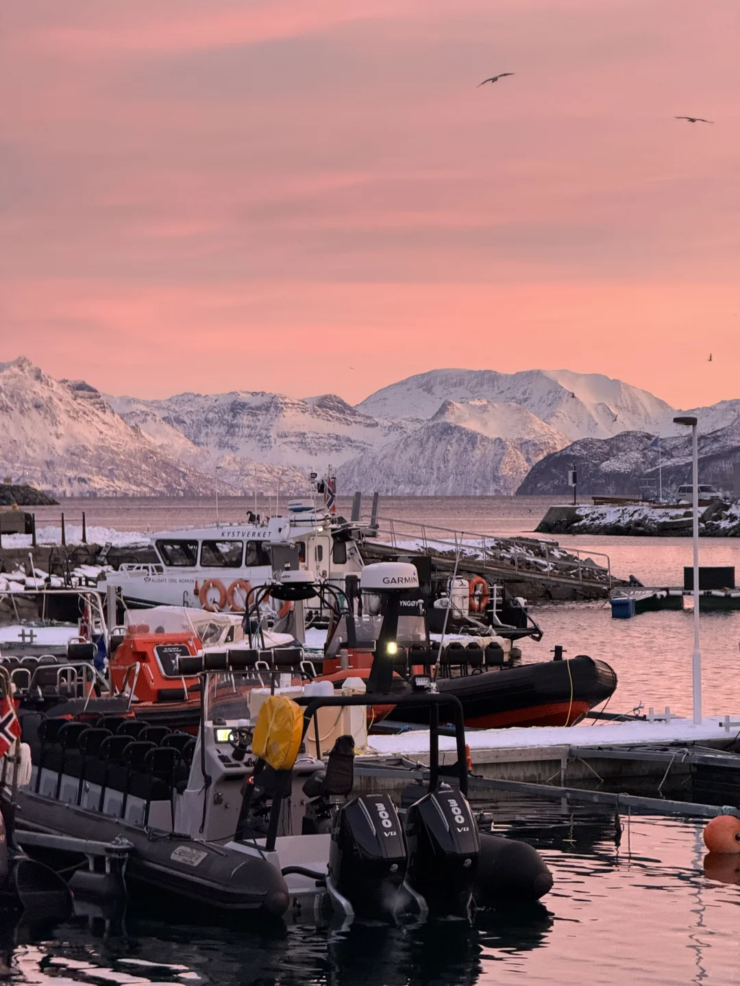 Live图的意义 极夜观鲸 画都不敢这么这么画