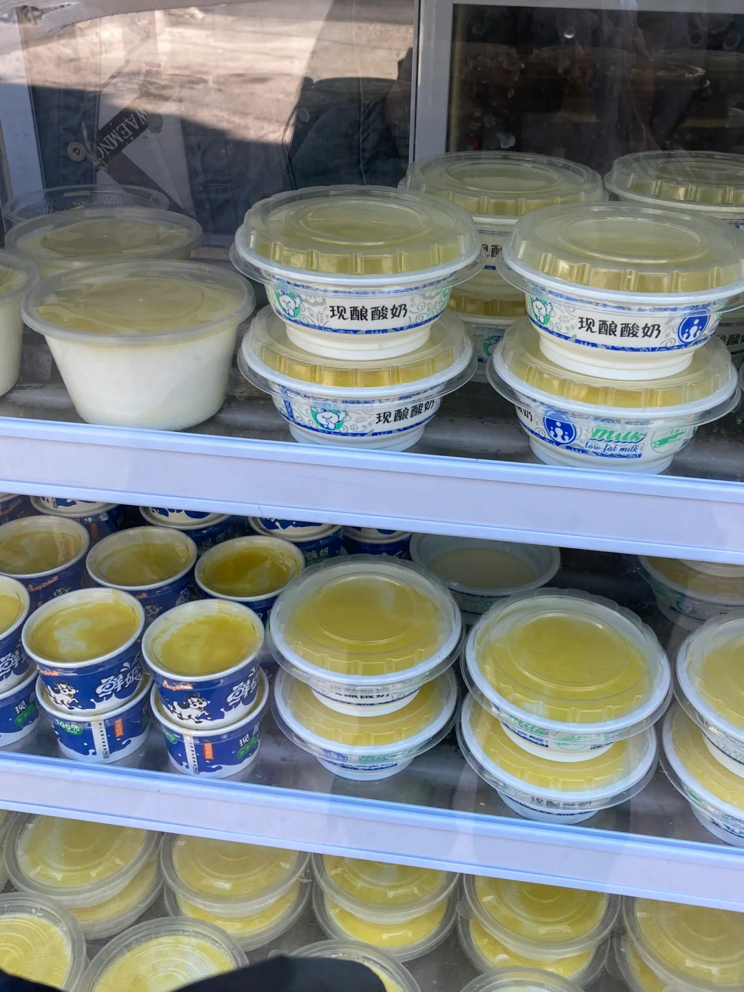 女大一人勇闯西北，穷游兰州+西宁