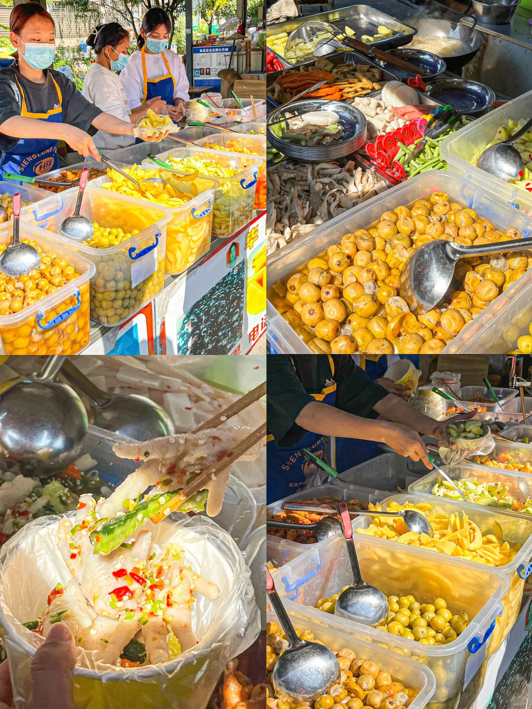 淡季的芒市真的是人间理想🌴(附攻略)