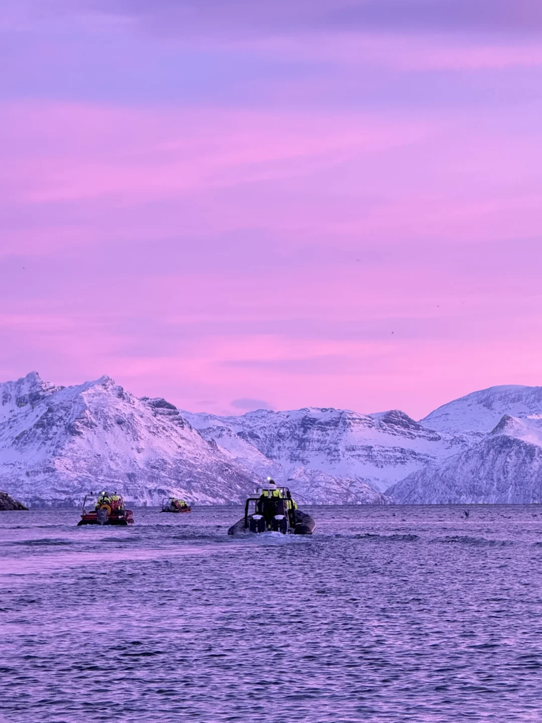 Live图的意义 极夜观鲸 画都不敢这么这么画
