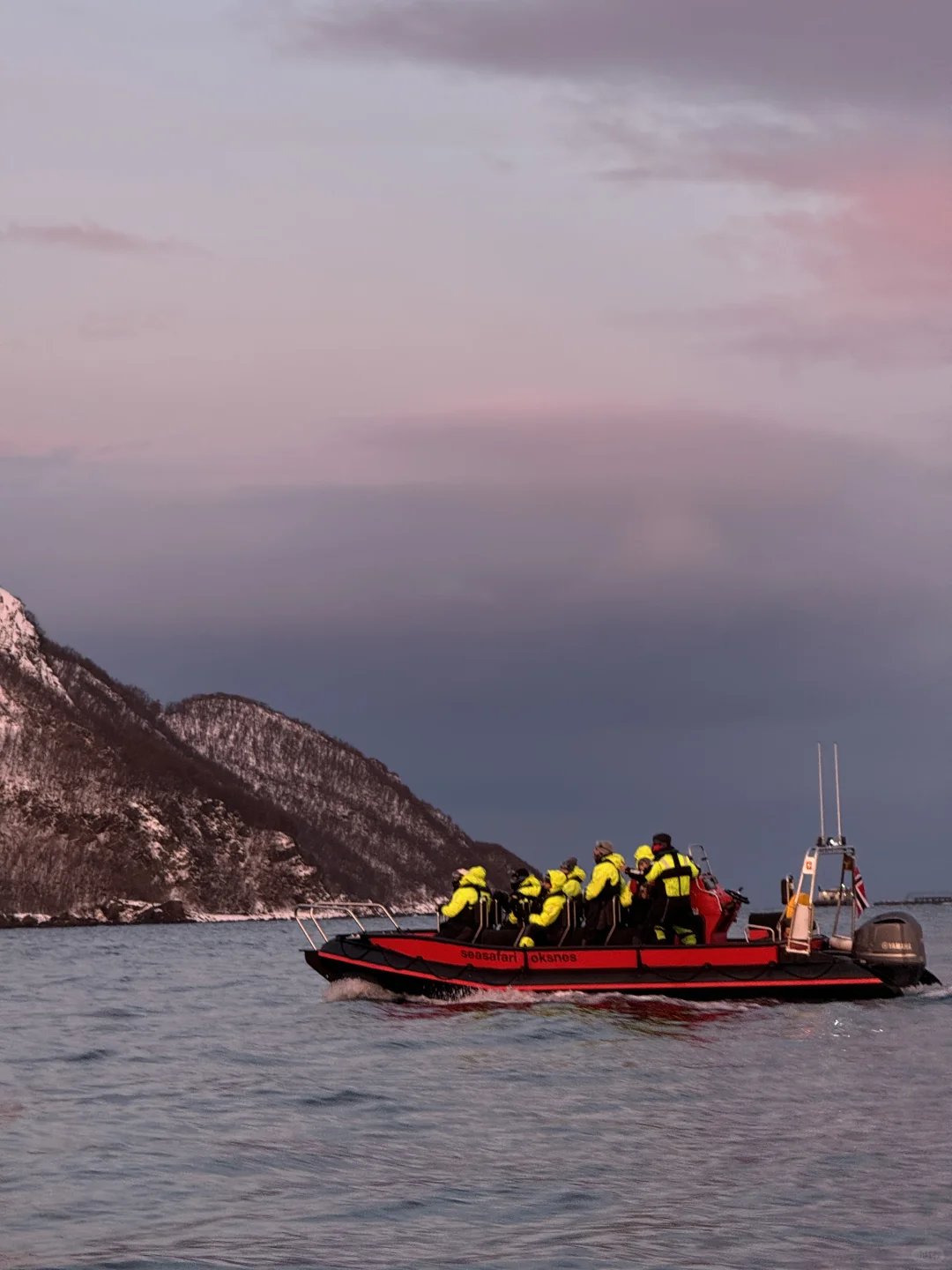 Live图的意义 极夜观鲸 画都不敢这么这么画