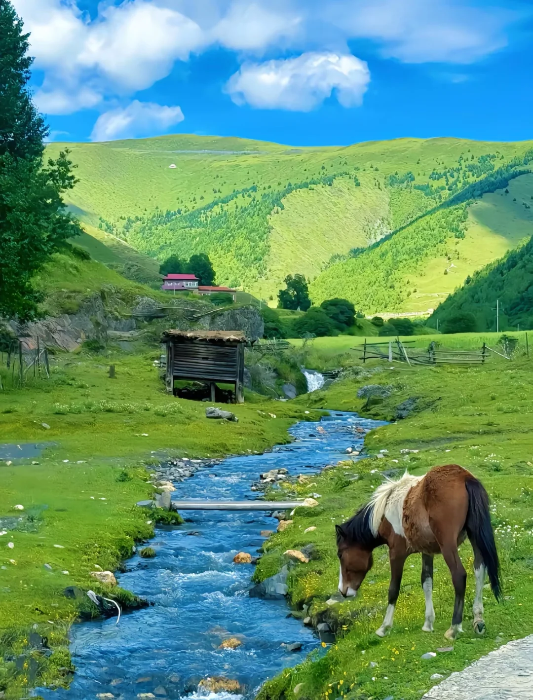 🌟比阿勒泰便宜5倍，川西一处被低估的小众地