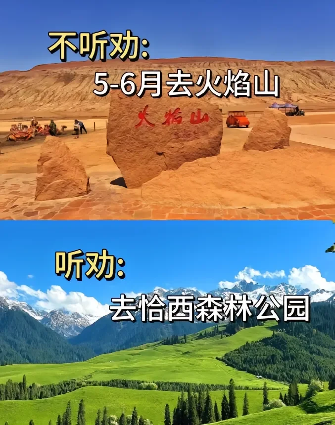 6月来新疆旅游景点怎么选⁉️千万别去错了
