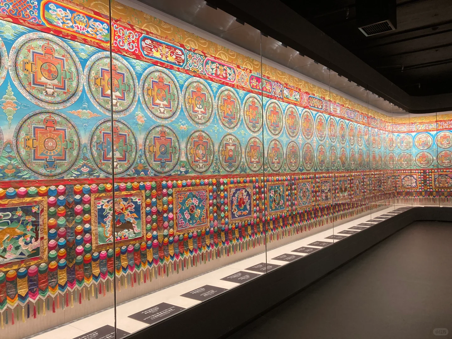 女大一人勇闯西北，穷游兰州+西宁