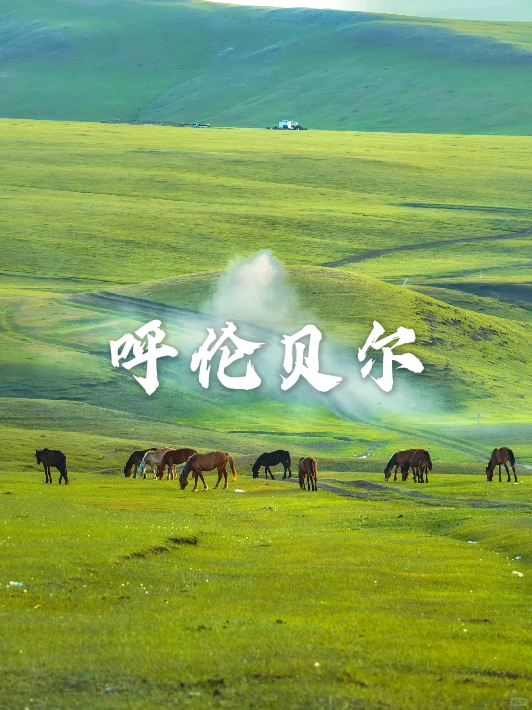 国内10个穷游💰避暑城市｜端午暑期必打卡