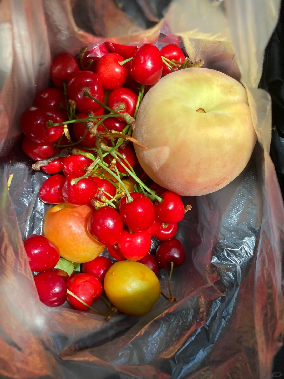 女大一人勇闯西北，穷游兰州+西宁