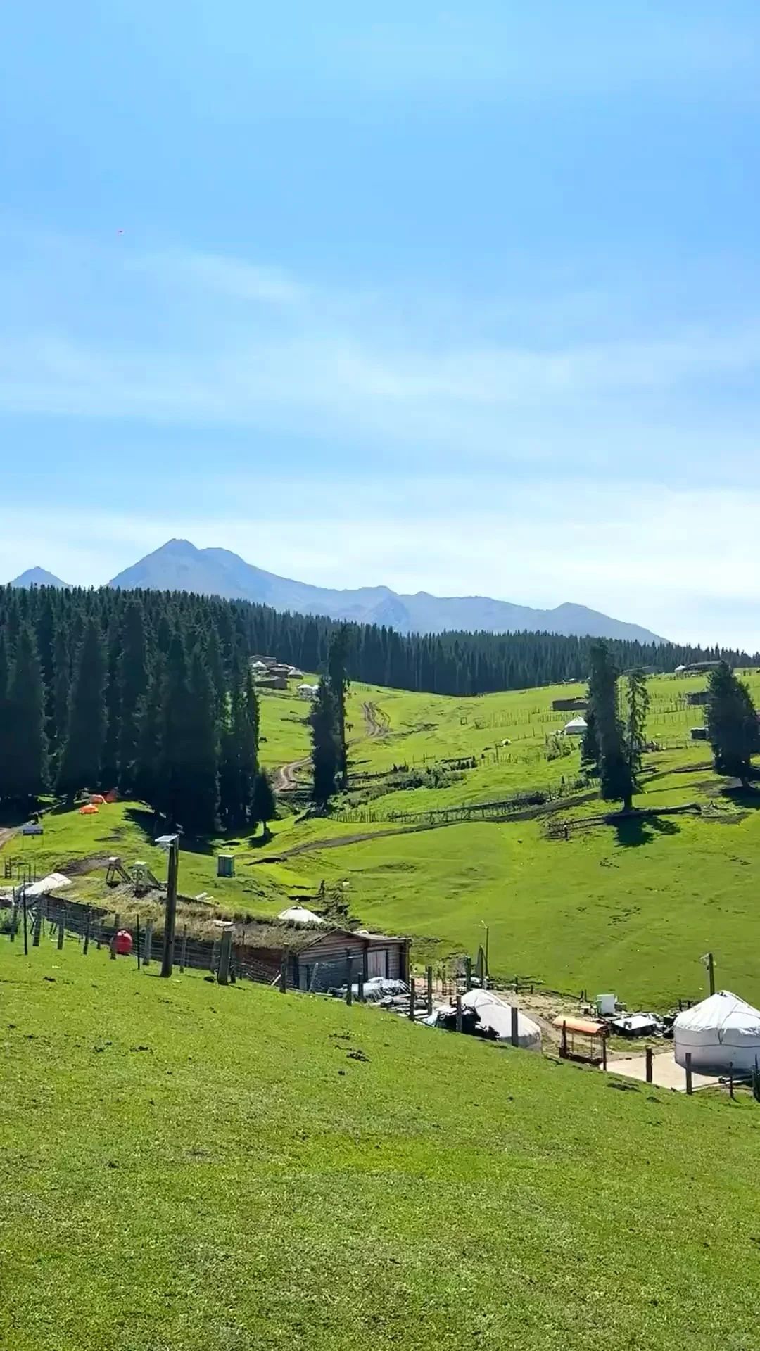 人生建议!一定要在5-6月去一次新疆…