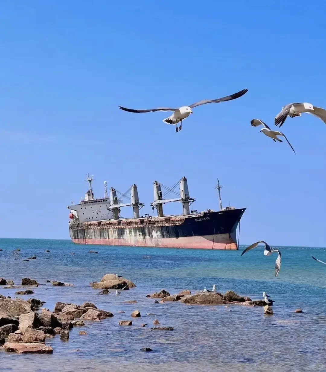 威海5-6月旅游攻略 | 海风不燥,浪漫正浓