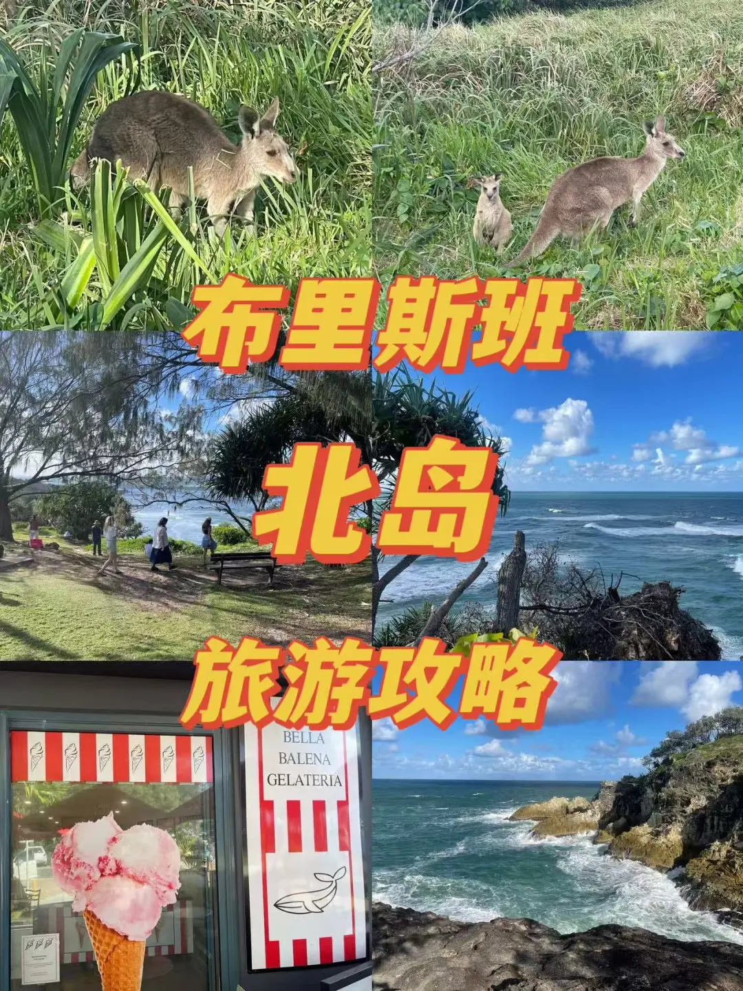 🇦🇺布村| 北岛旅游攻略
