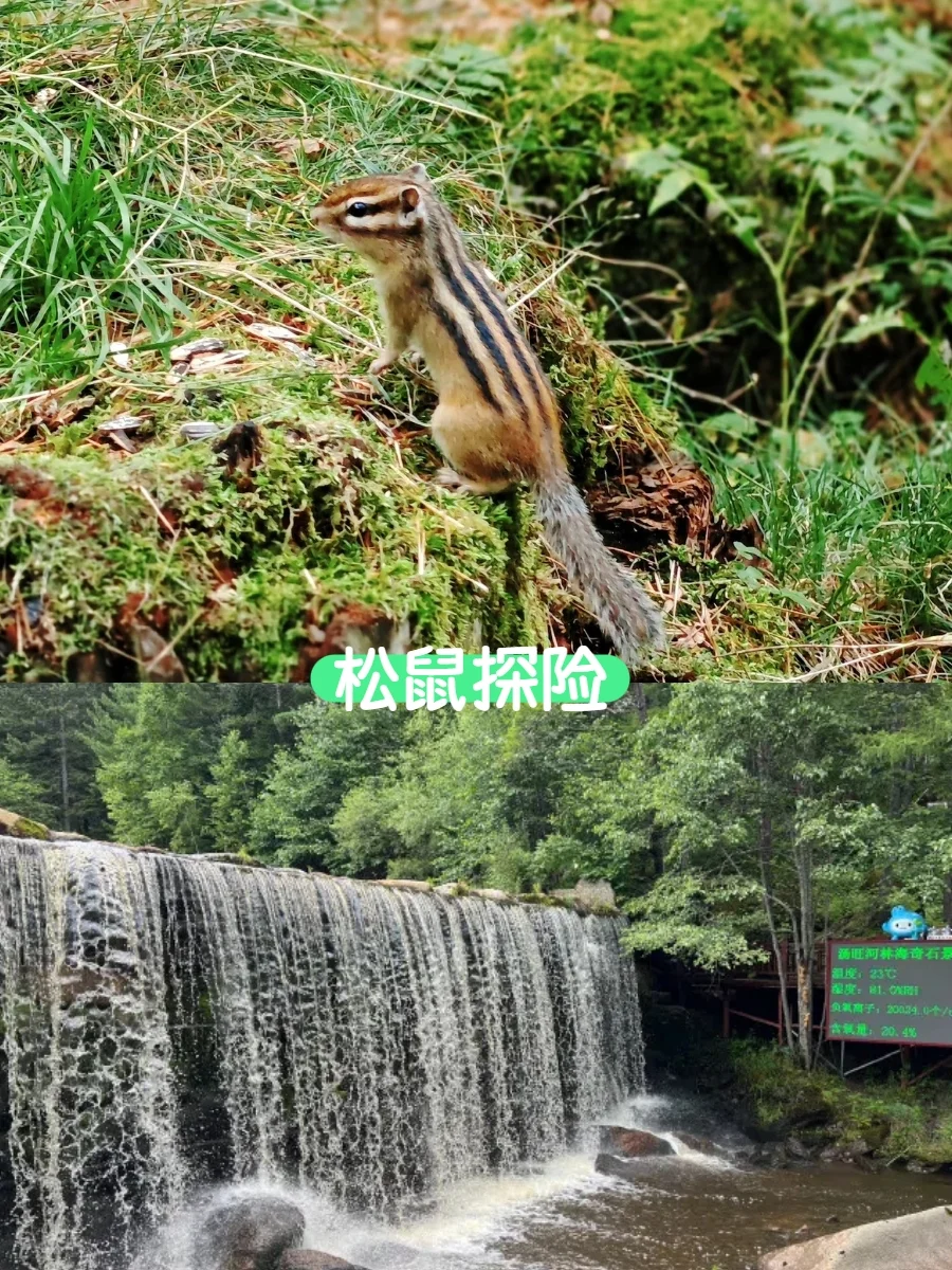 伊春第1⃣站｜汤旺河，绿野仙踪入口在这里