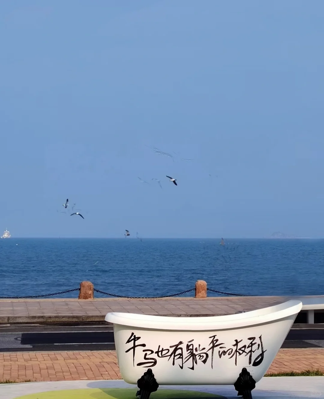 🌊烟台旅游攻略｜本地人整理七条避坑指南‼️