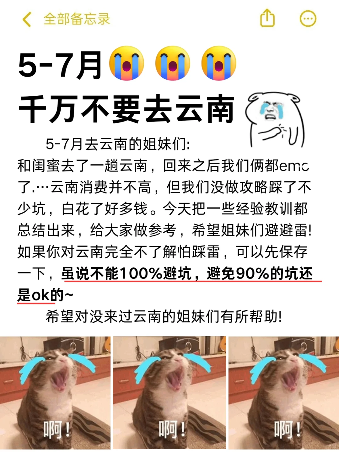 云南宝藏旅游攻略大全❗❗熬夜整理😵