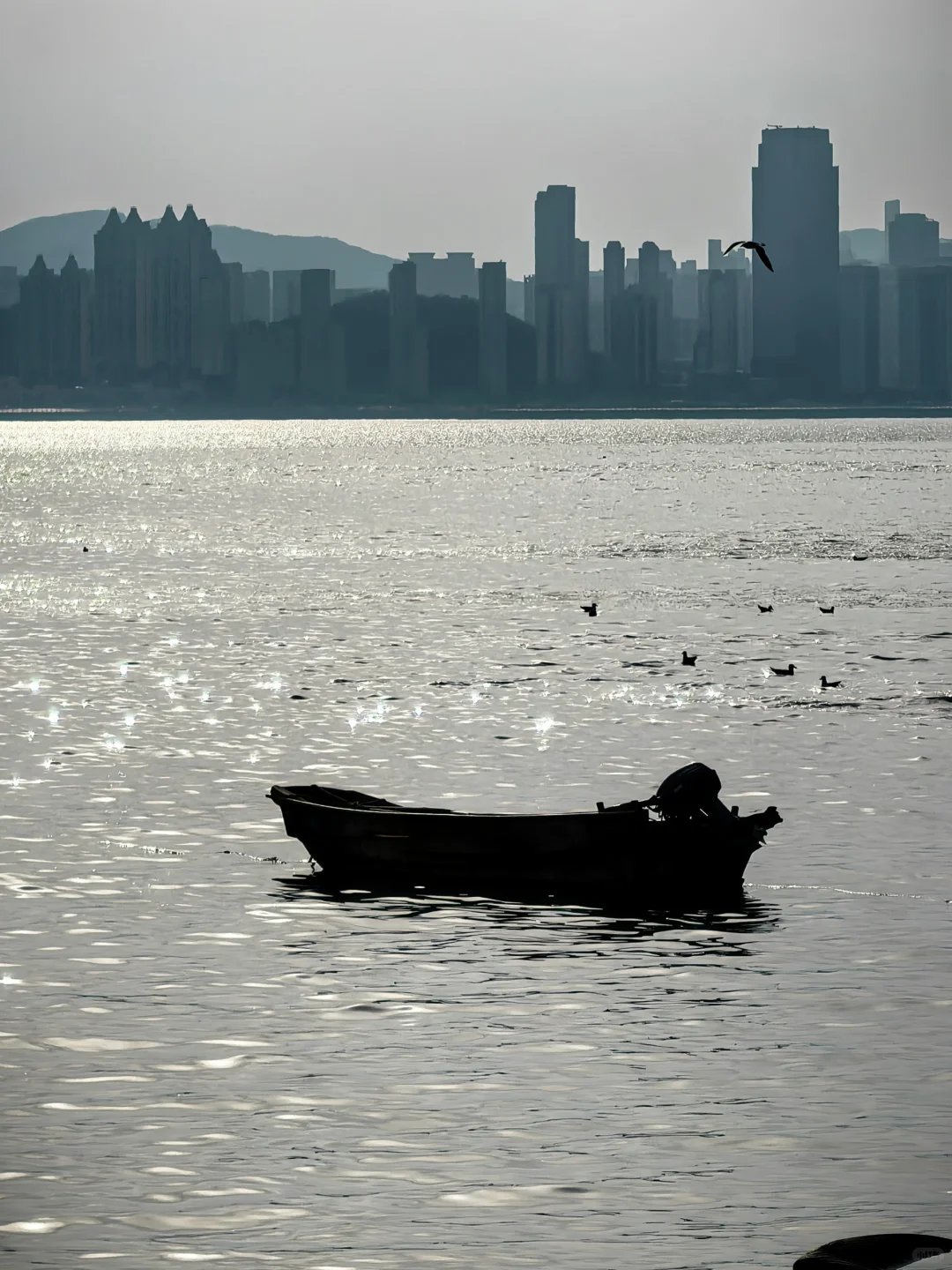 来大连📷这个机位千万不能错过‼️（附定位）