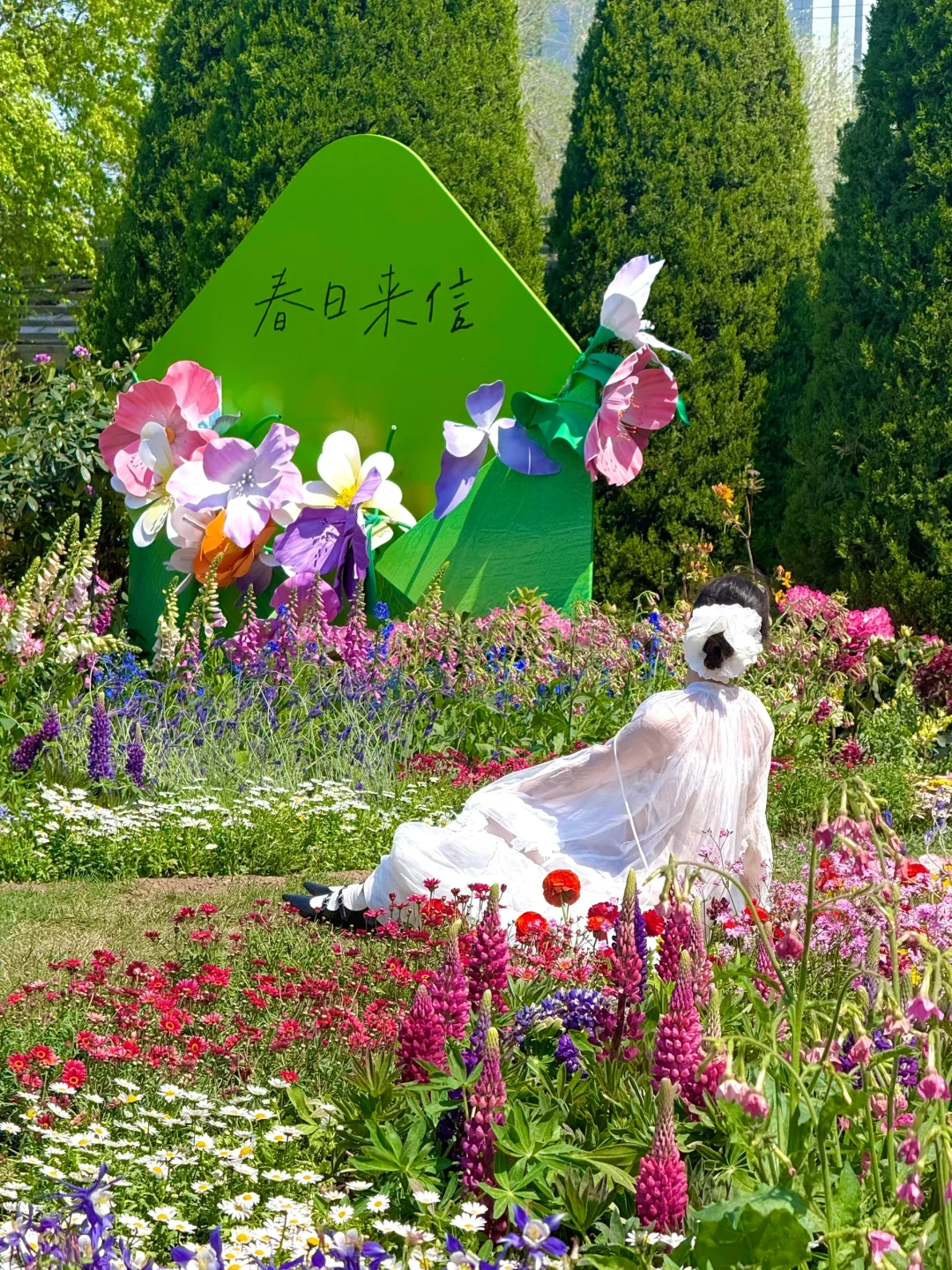 4.15实拍live，北京有自己的莫奈花园‼️