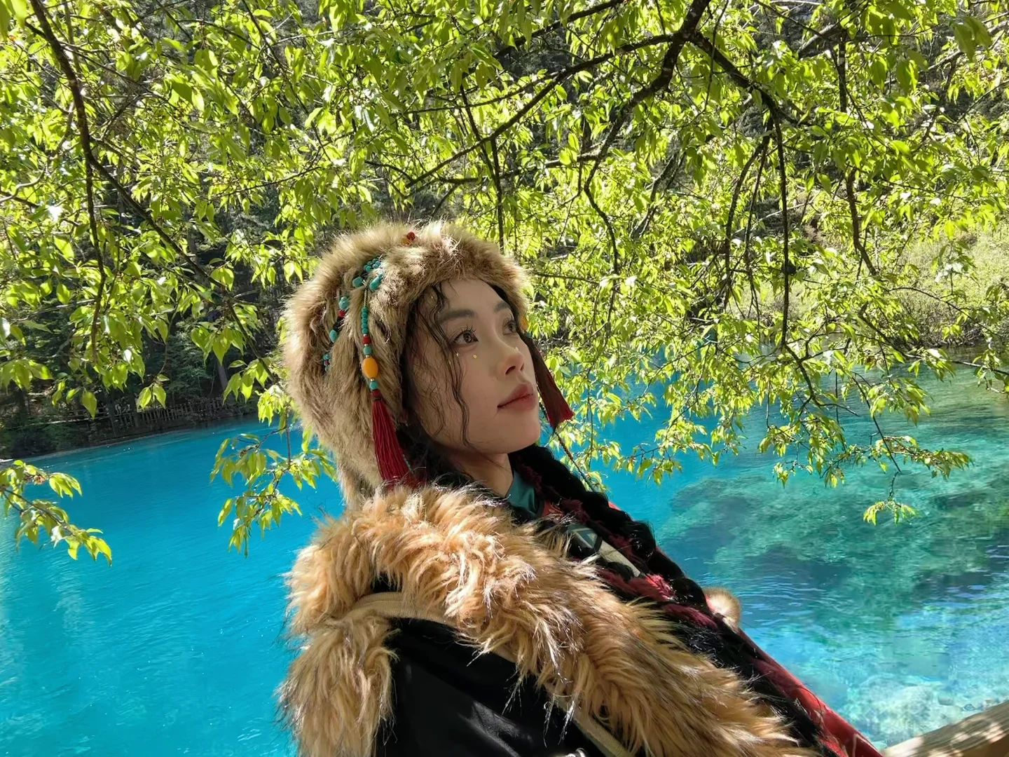 五一四川精华游：九寨沟四姑娘山熊猫基地三