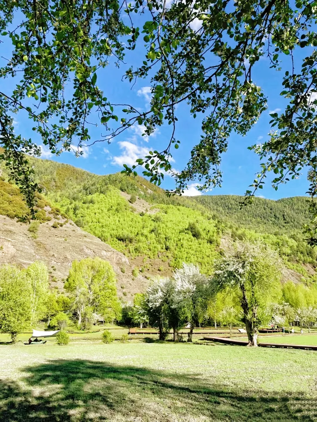 在川西！果然好看的地方都是免费的。。