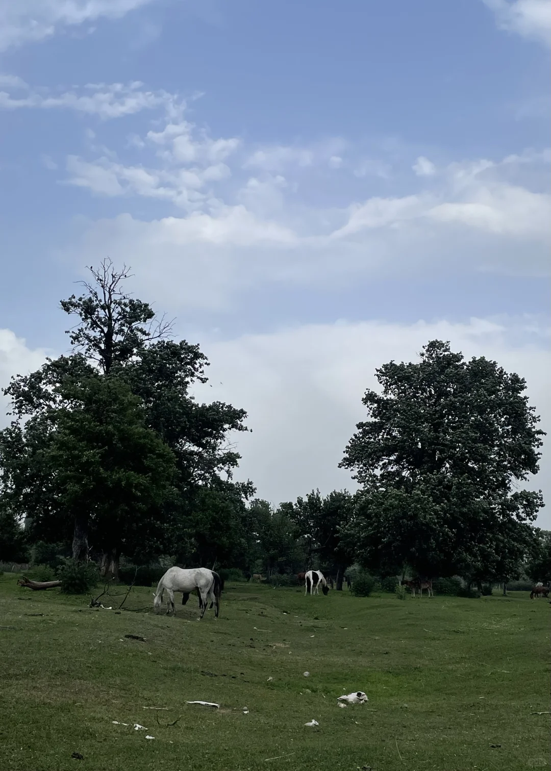 被困住的人儿在新疆找寻心灵的救赎