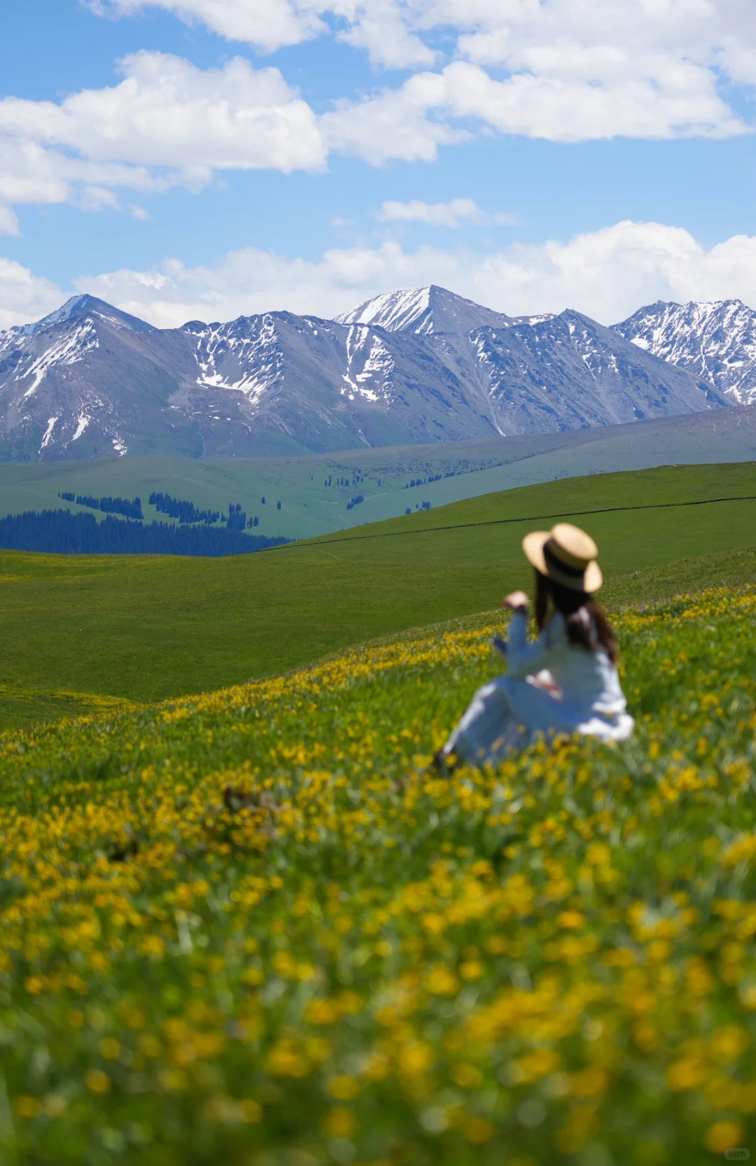 去过十几次新疆，说说我心中最美草原前三