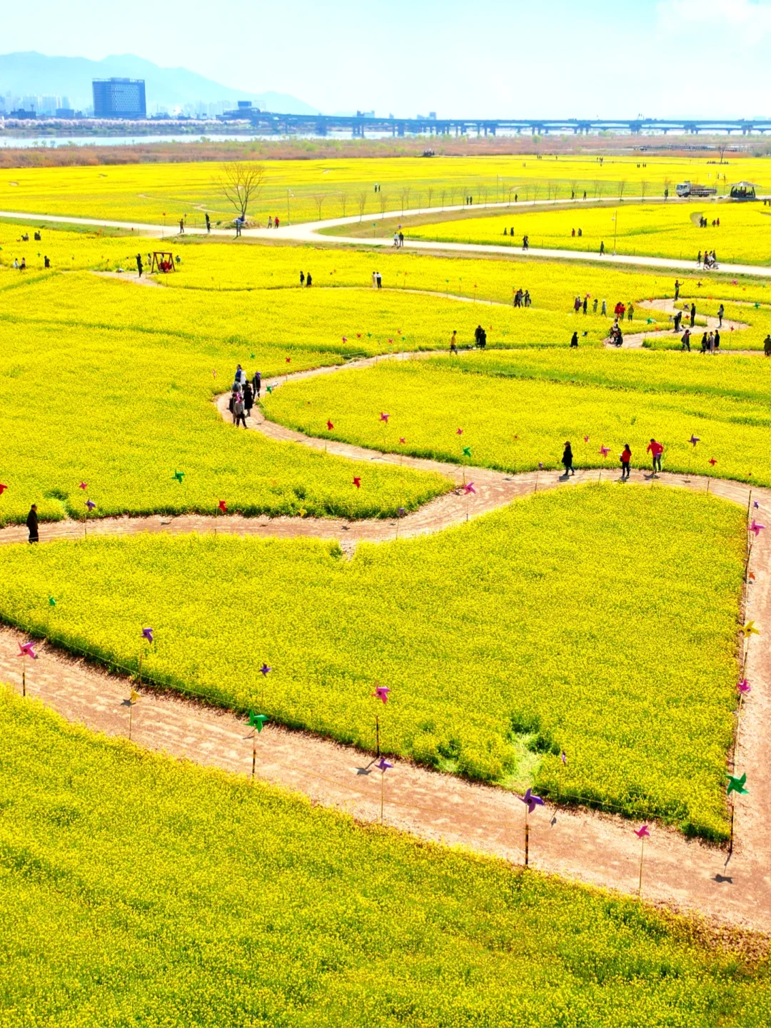 釜山比首尔好玩太多了，性价比更高！