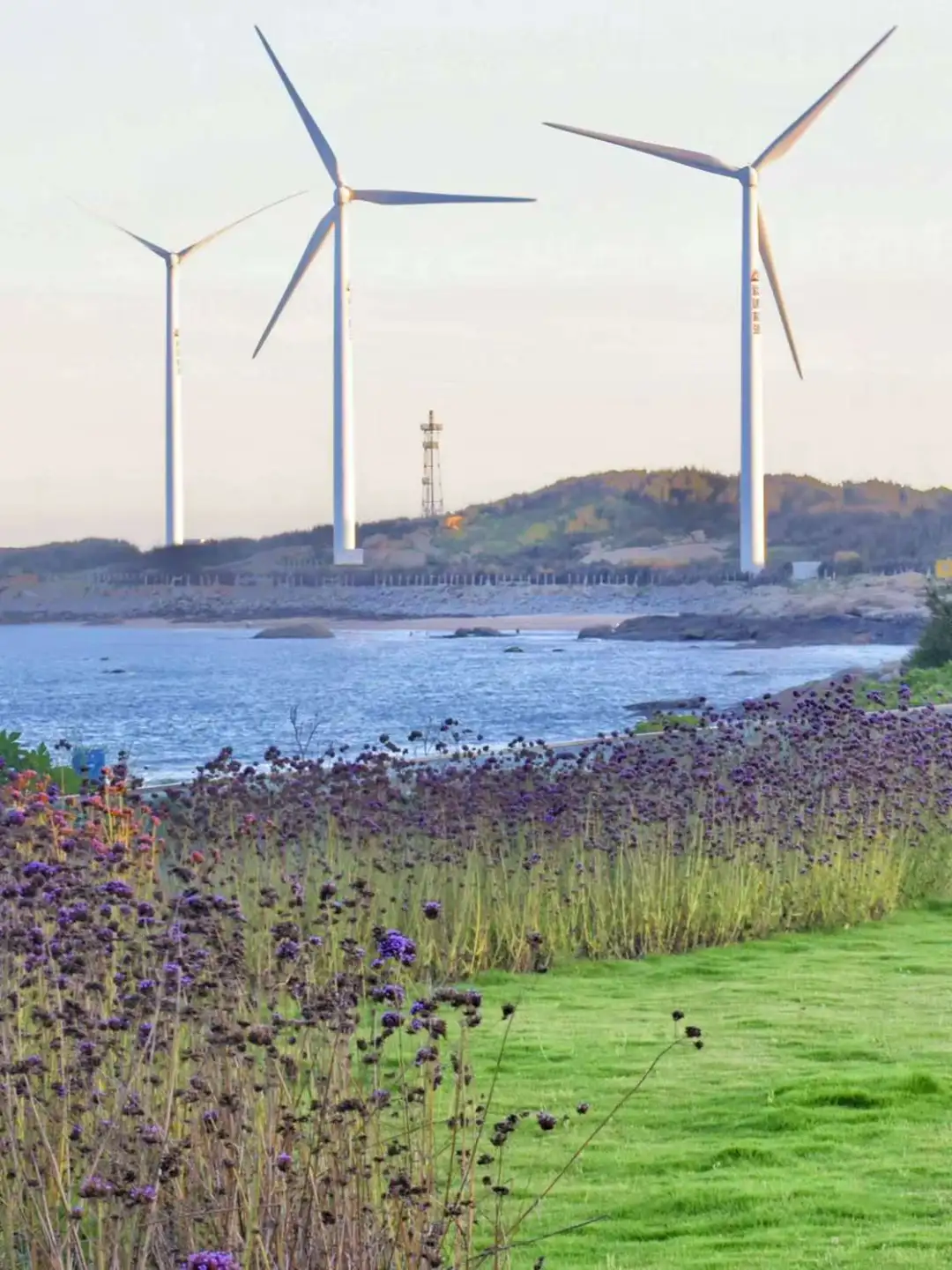 泉州后劲太大了，列入人生清单的世遗小城