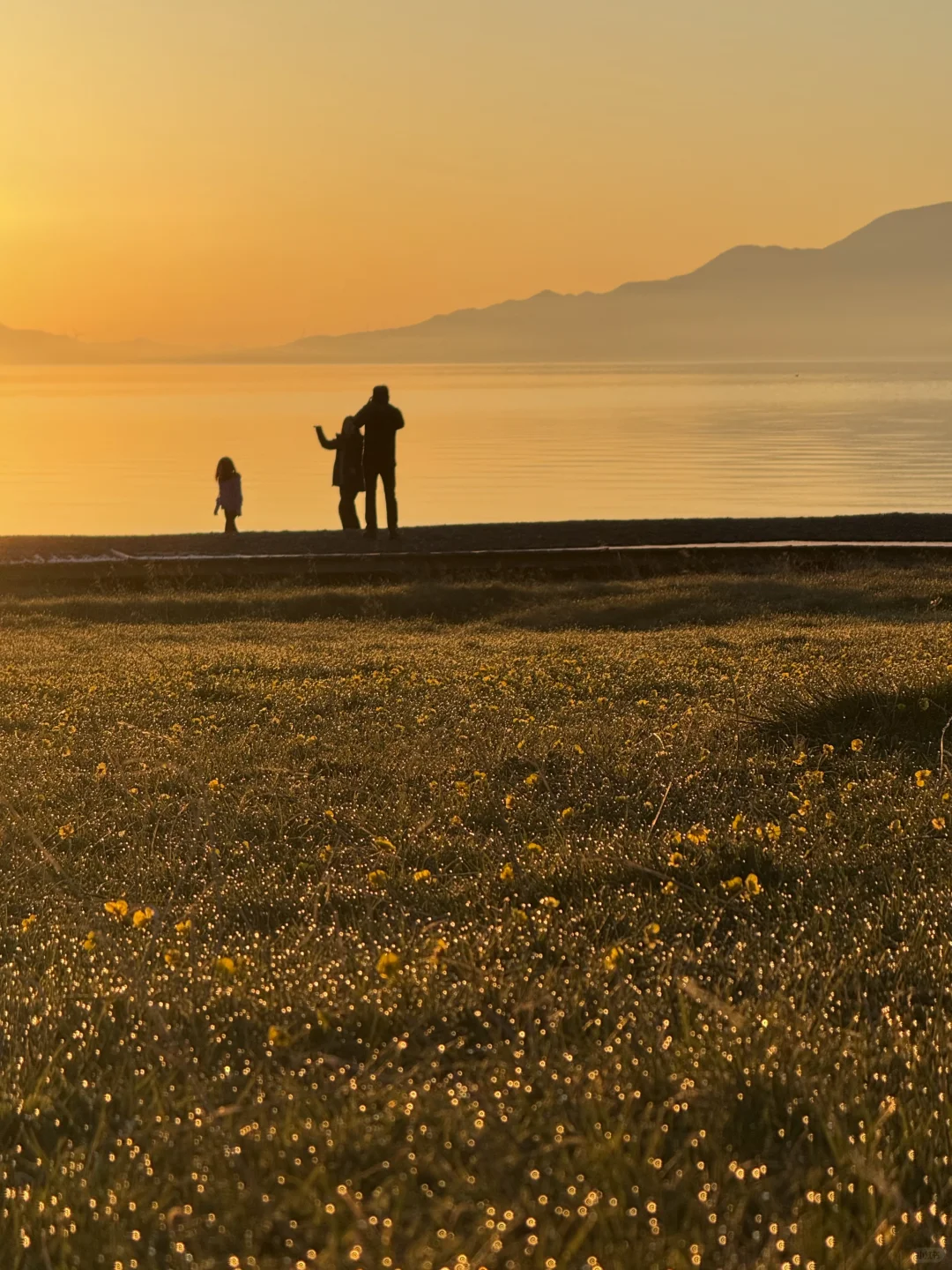 Live图的意义，我终于找到了梦中的那片草原