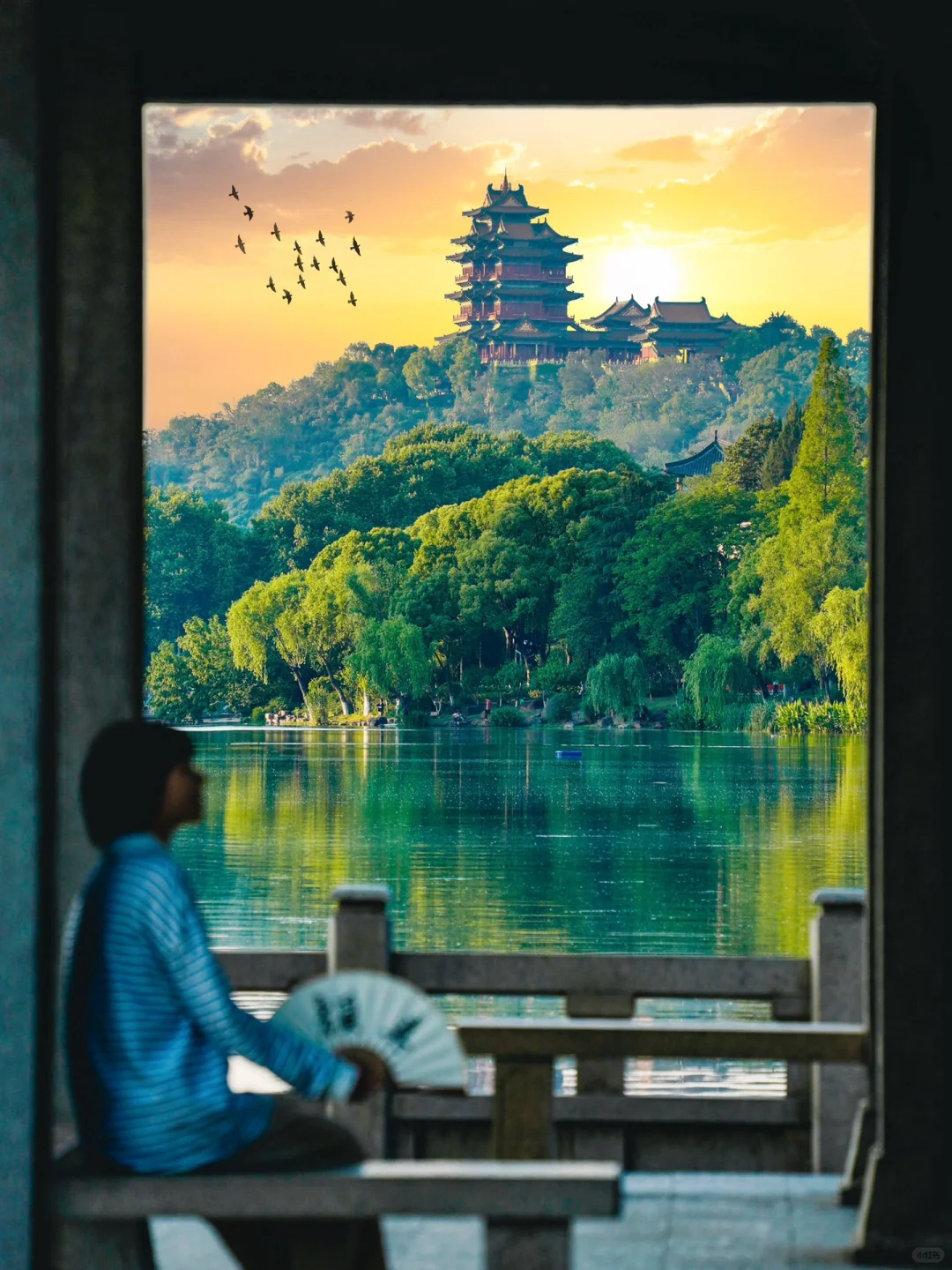 第一个发现南京这个机位的人是天才吧…