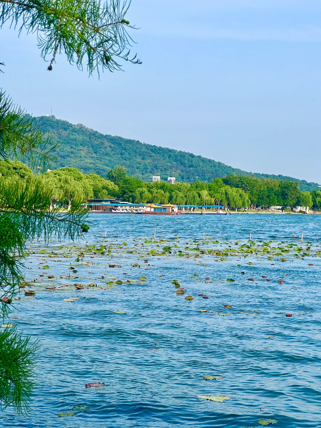 我宣布，这是南京最值得去的免费景区……