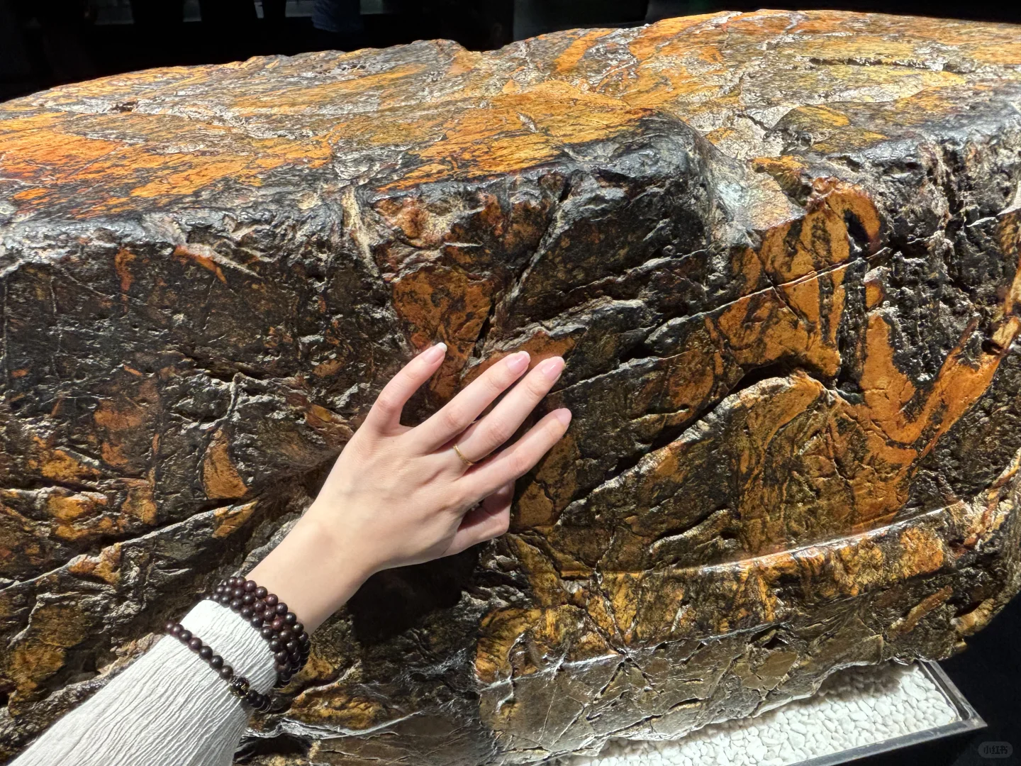 五一四川精华游：九寨沟四姑娘山熊猫基地三