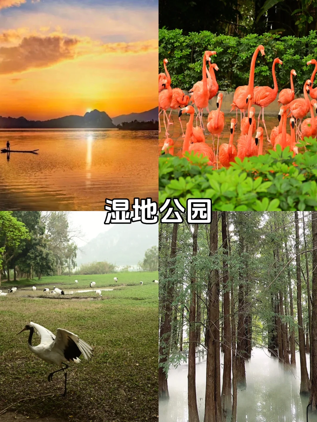 肇庆必去9大景点、美食❗️❗️❗️旅游前必看