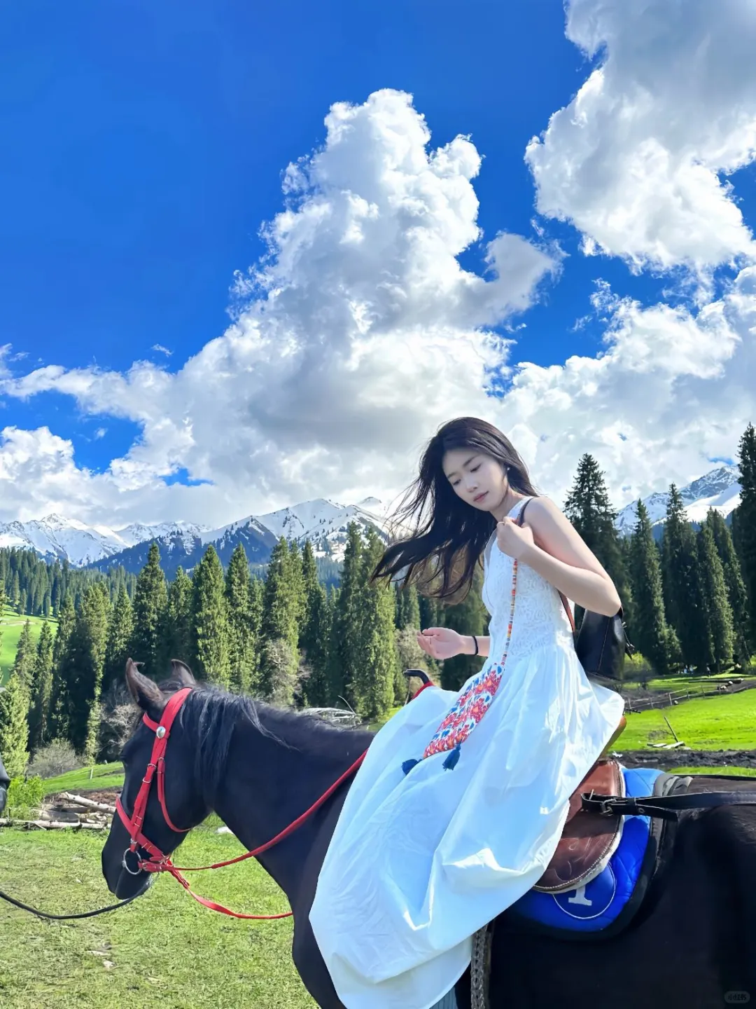 又到了川西可以封神的季节