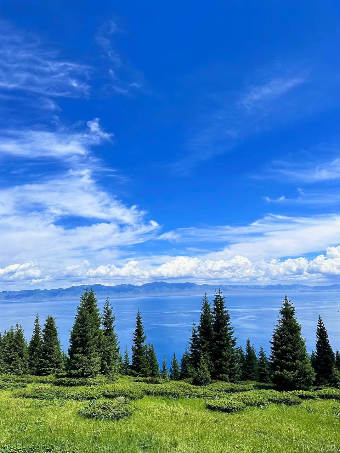 5-6月初夏的新疆美翻了‼祛魅不了一点😭